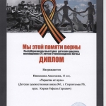 Диплом Николаева Анастасия