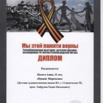 Диплом Палега Анна