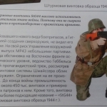 Оружие rbart1.ru (11)