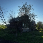 Prepodavateli-na-kanikulah-3