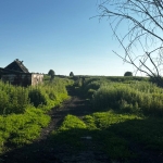 Prepodavateli-na-kanikulah-4