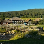 Prepodavateli-na-kanikulah-5