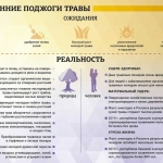 WhatsApp-Image-2020-03-30-at-08.43.23