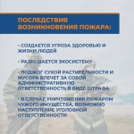 WhatsApp-Image-2021-04-20-at-12.09.38