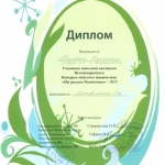 Диплом Малкин Даниил 001