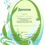 Диплом Саттаров Роберт 001