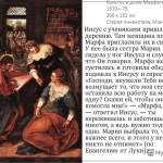 8 slide_24